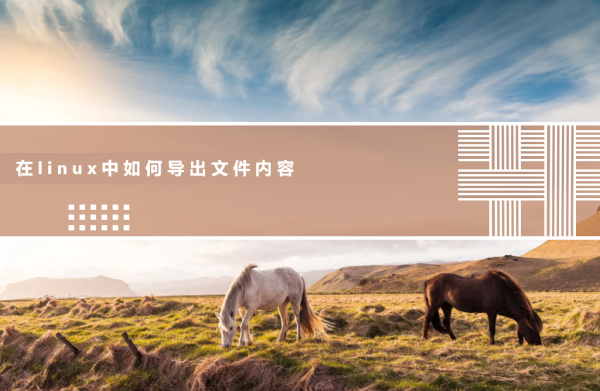 在linux中如何导出文件内容